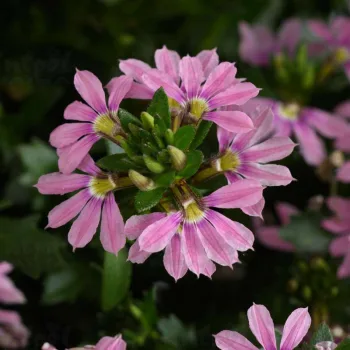 Фото 2