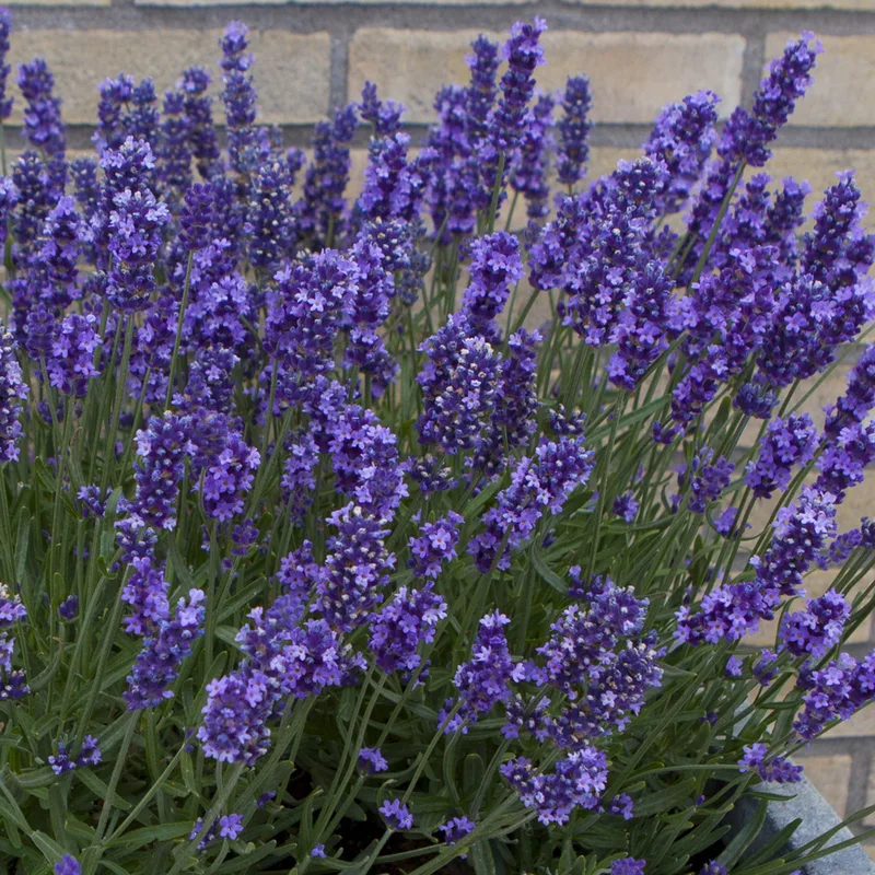 Фото 2