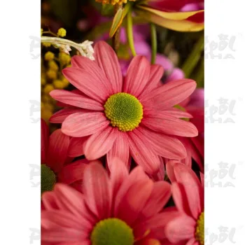 Фото 3