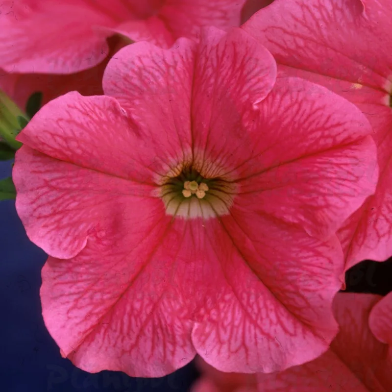 Фото 2