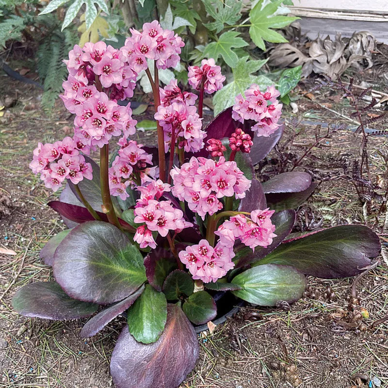 Фото 2