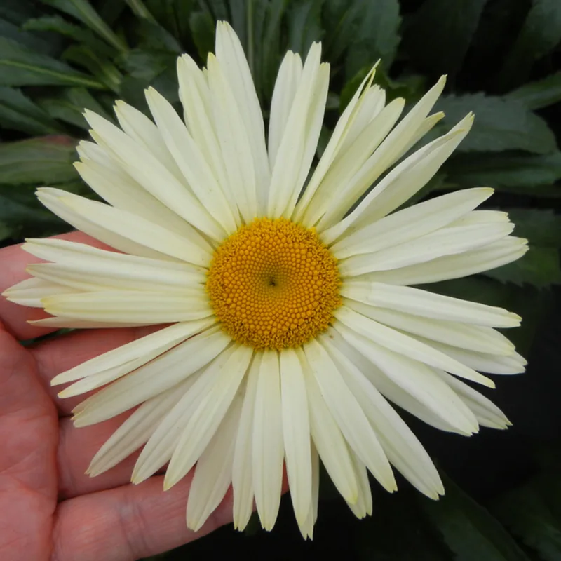 Фото 2