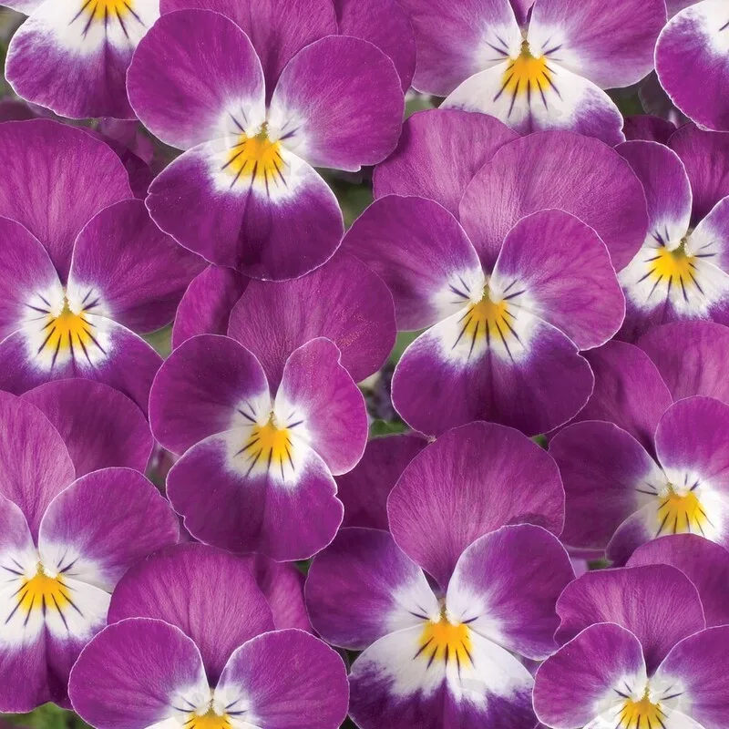 Фото 2