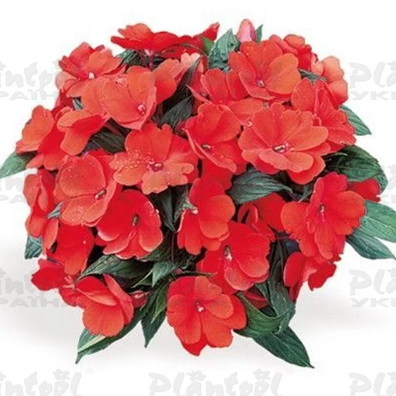 Фото 1