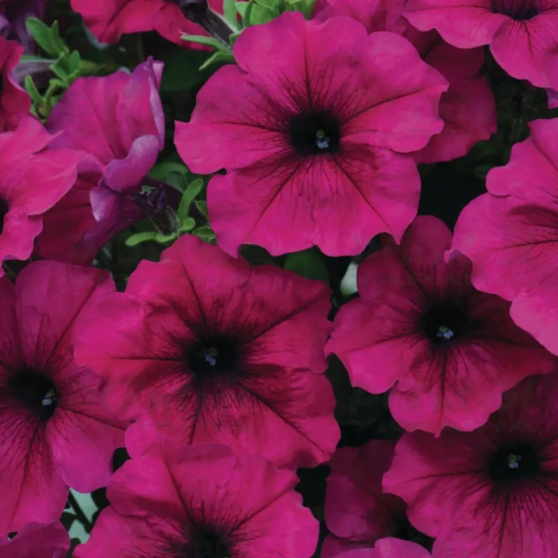 Фото 2