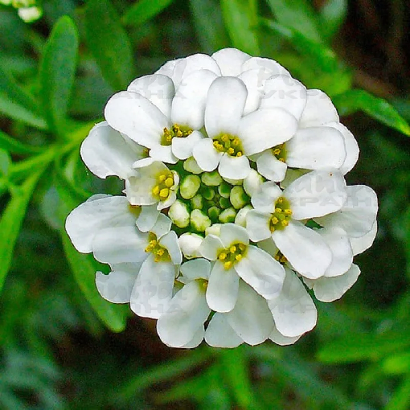 Фото 2