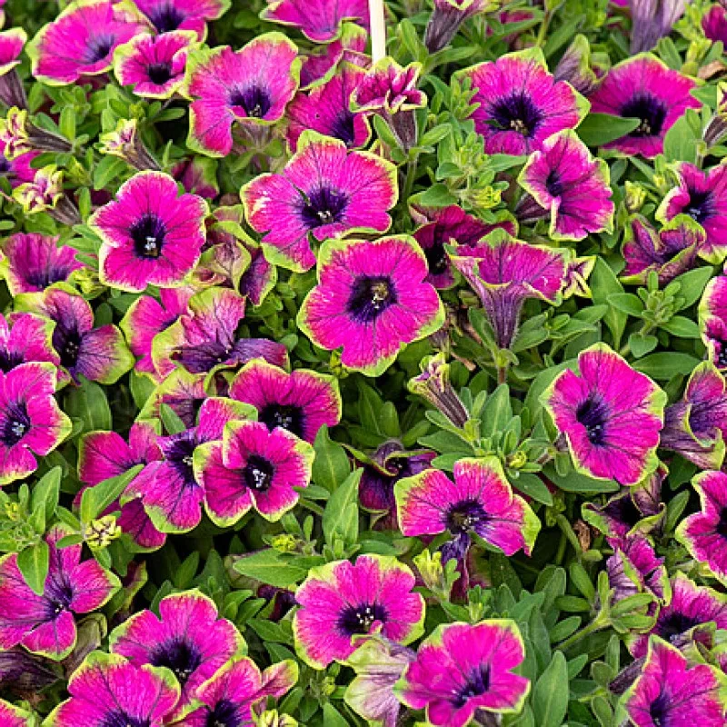 Фото 1