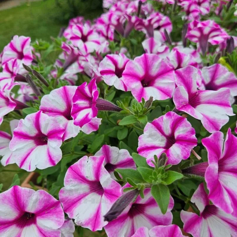 Фото 2