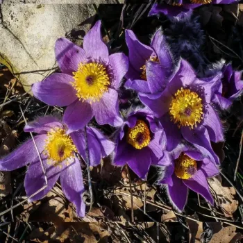 Фото 2