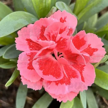 Фото 2
