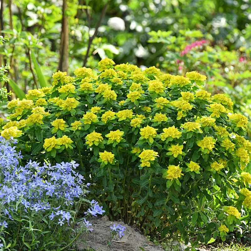 Фото 2