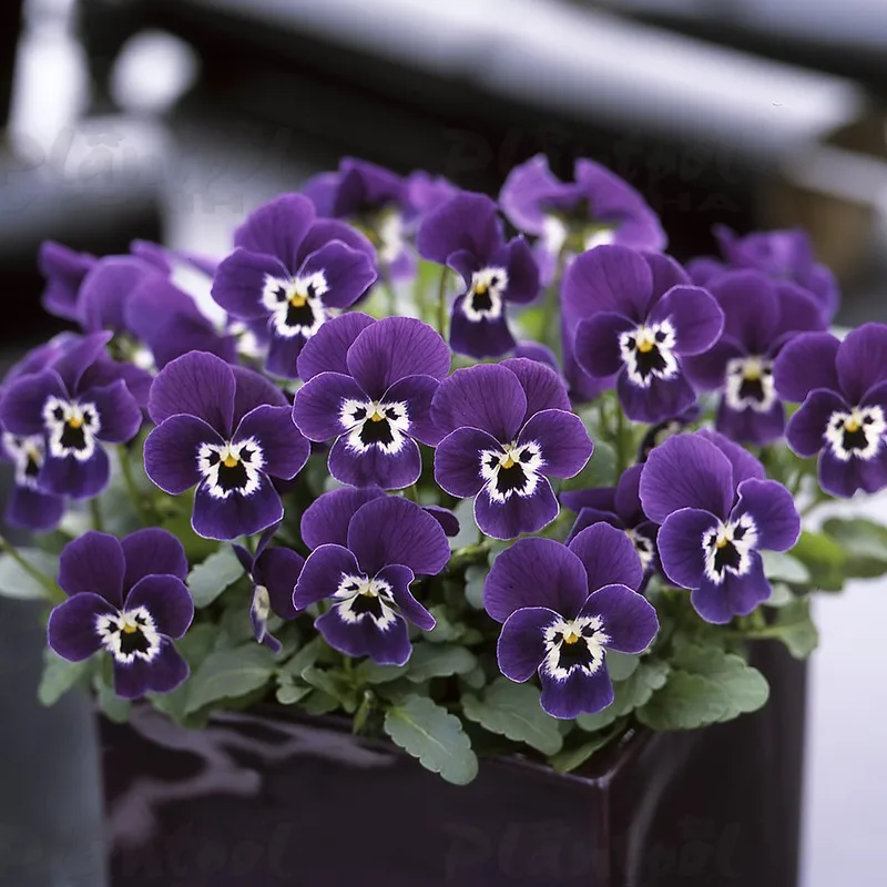 Фото 2
