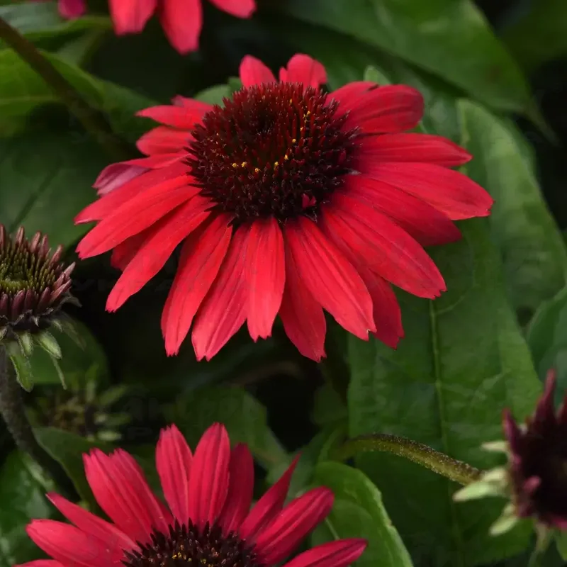 Фото 2