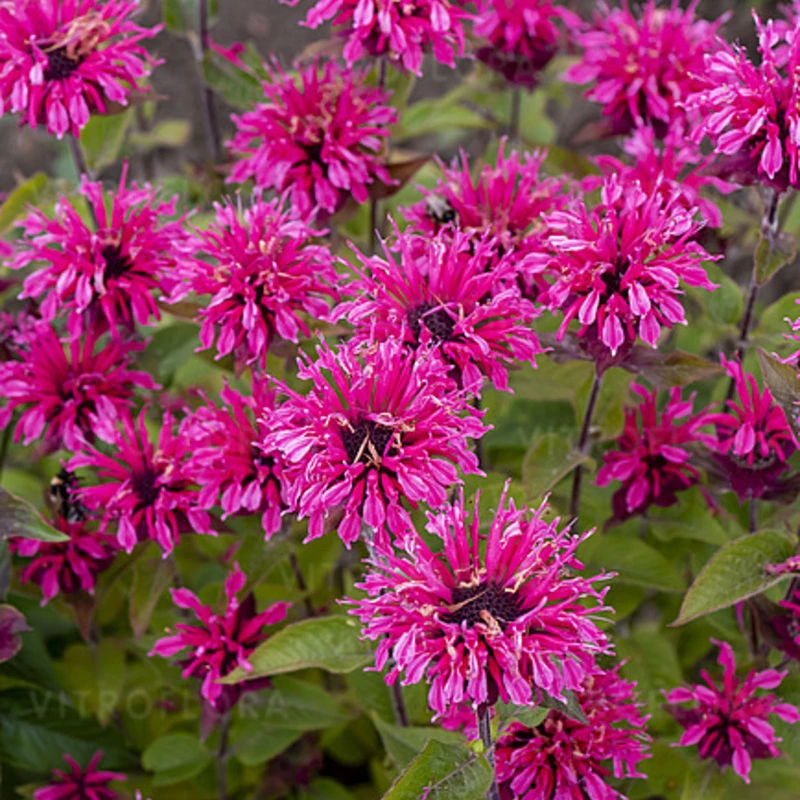 Фото 2