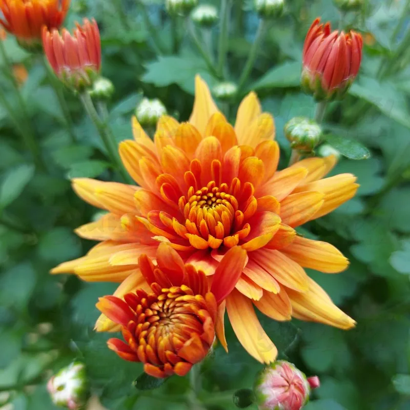 Фото 6