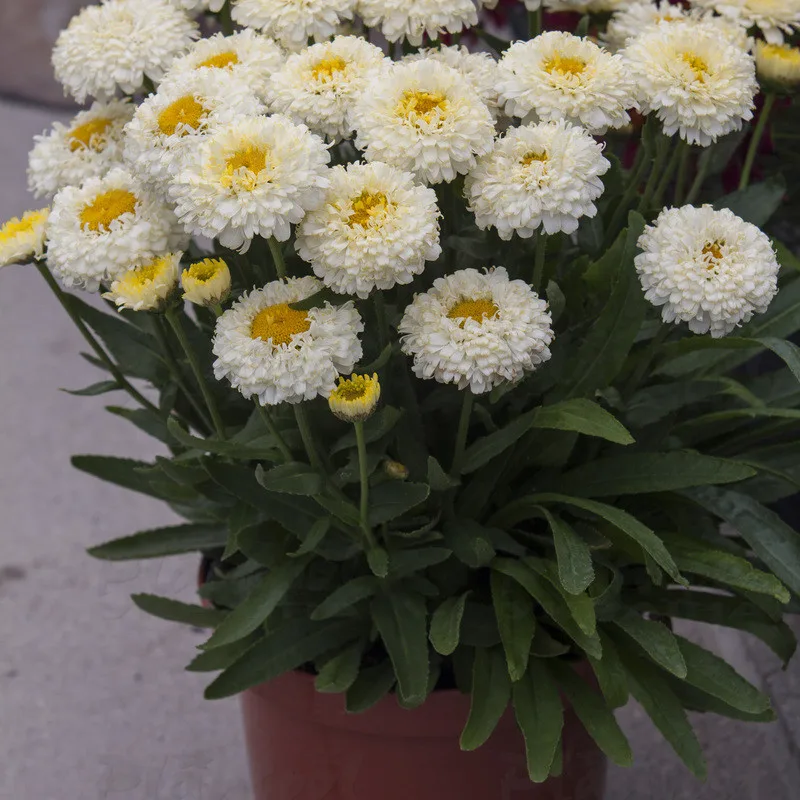 Фото 2