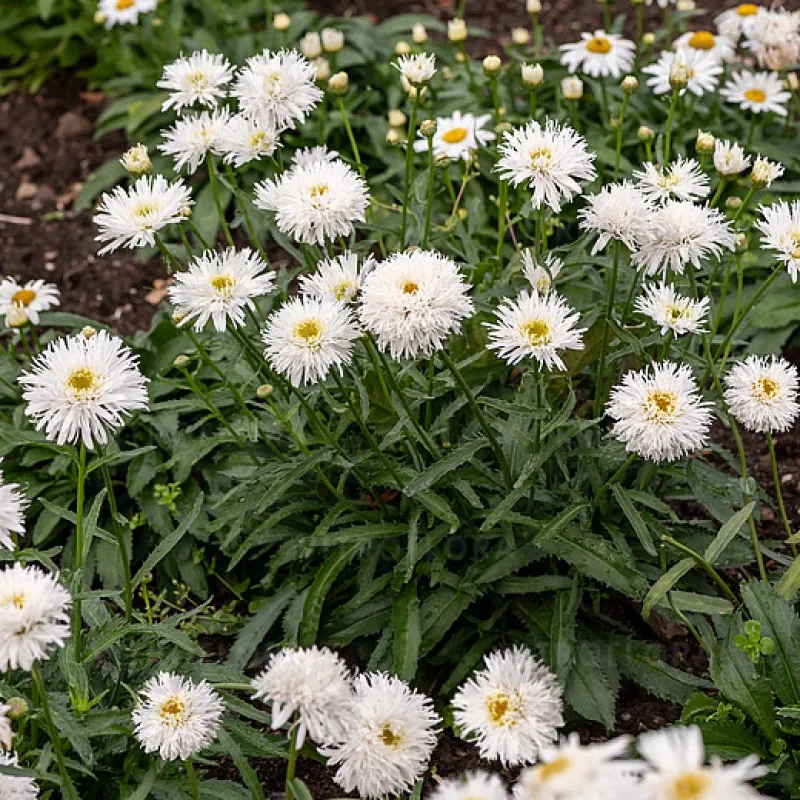 Фото 2