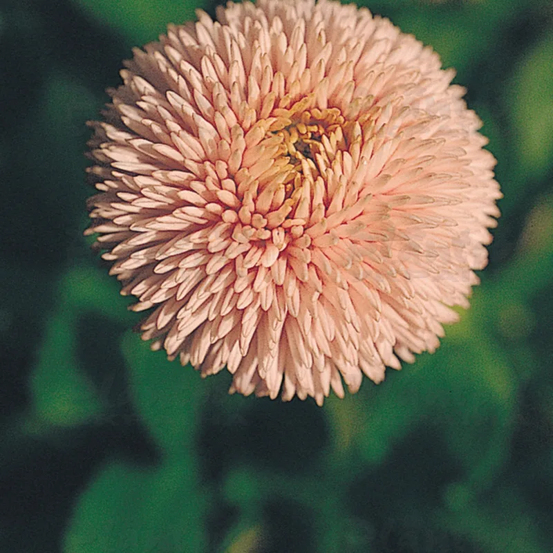 Фото 3