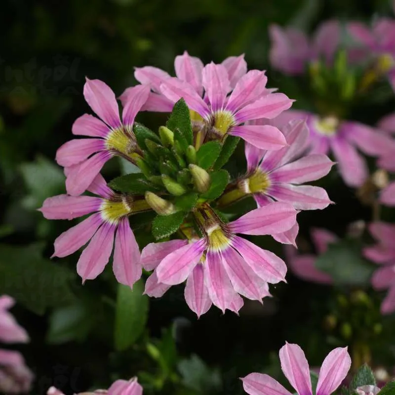 Фото 2