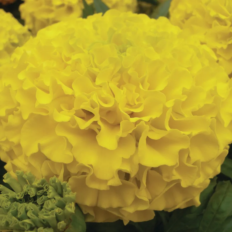 Фото 2