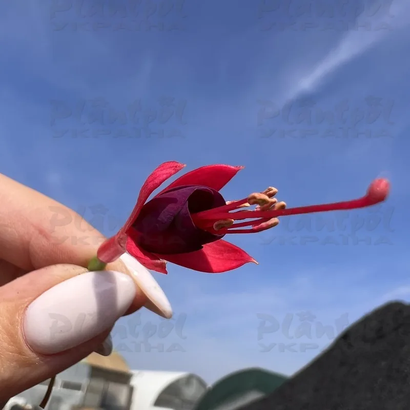 Фото 4
