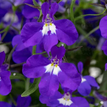 Фото 2