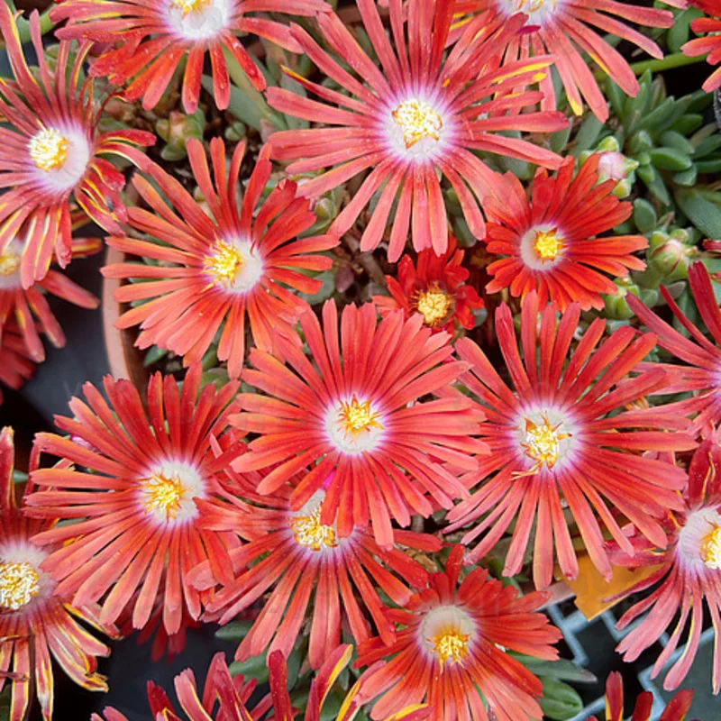 Фото 1