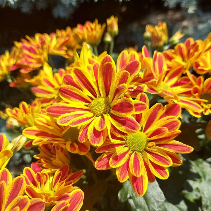 Фото 6