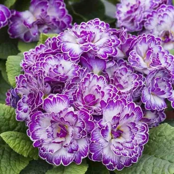 Фото 2