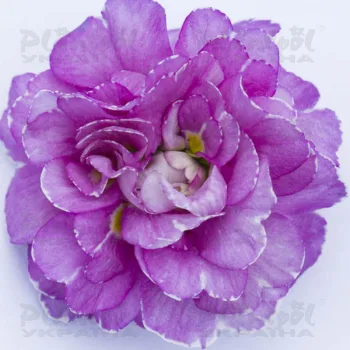 Фото 2