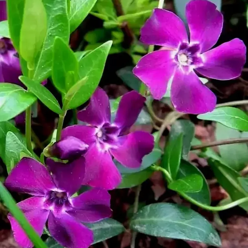 Фото 2