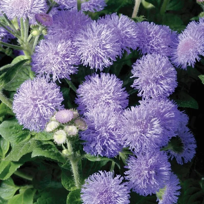 Фото 2