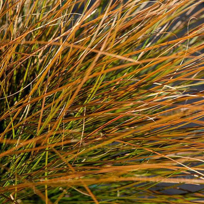 Фото 1