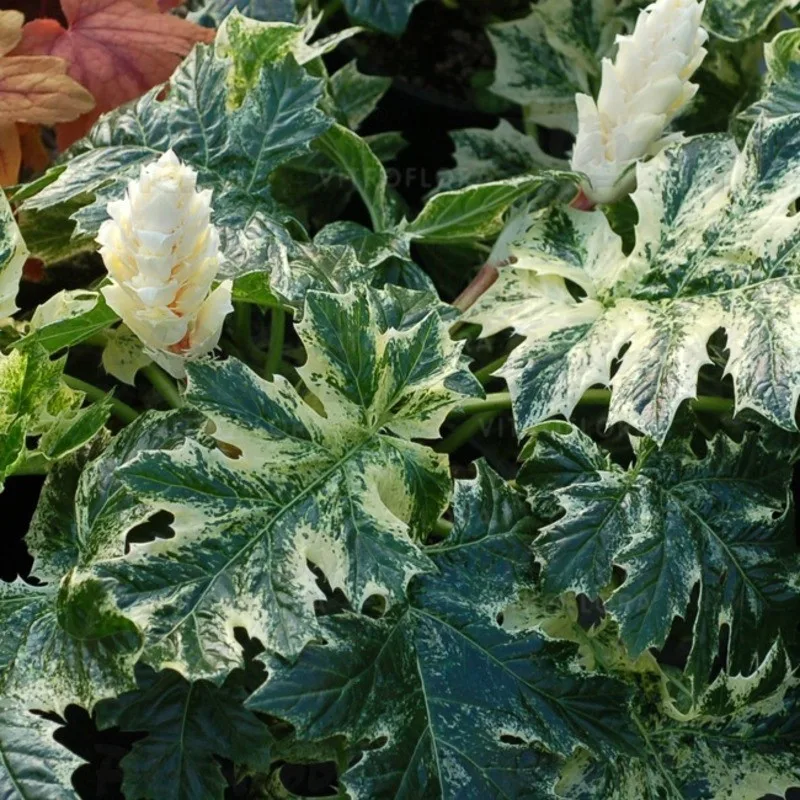 Фото 2