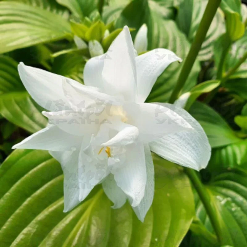 Фото 2