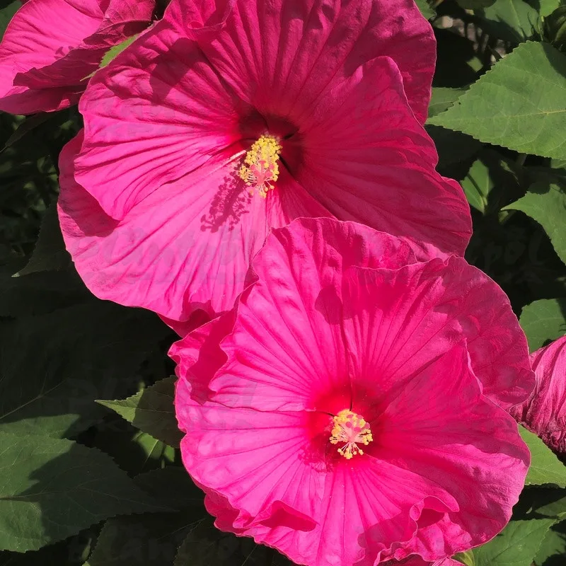 Фото 2