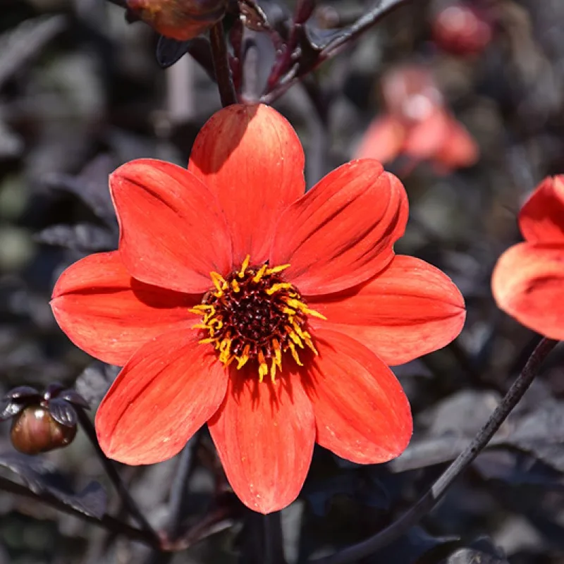 Фото 2