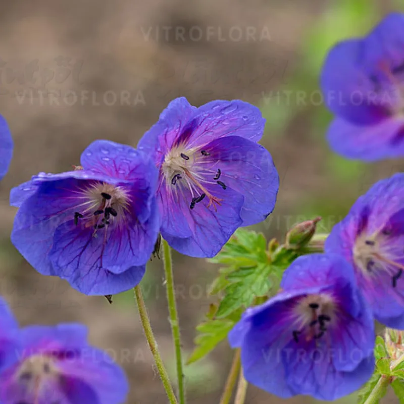 Фото 2