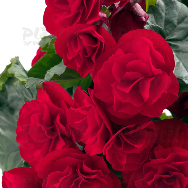 Фото 2