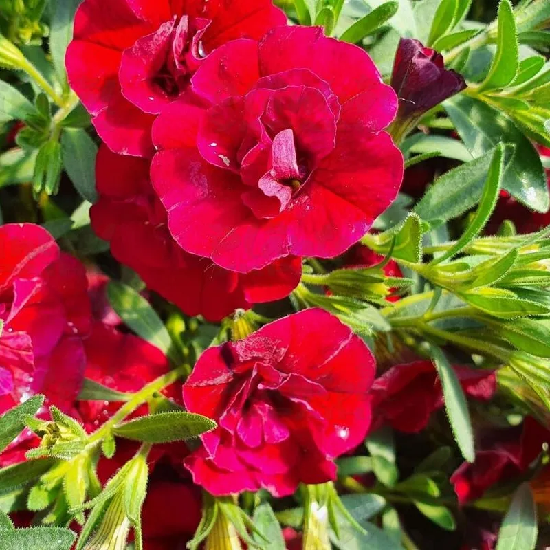 Фото 2