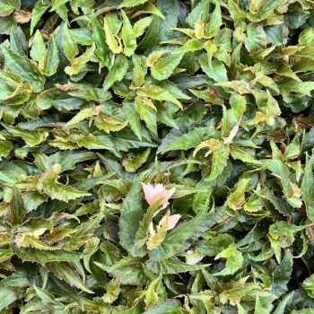 Фото 3