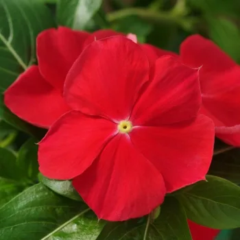 Фото 2