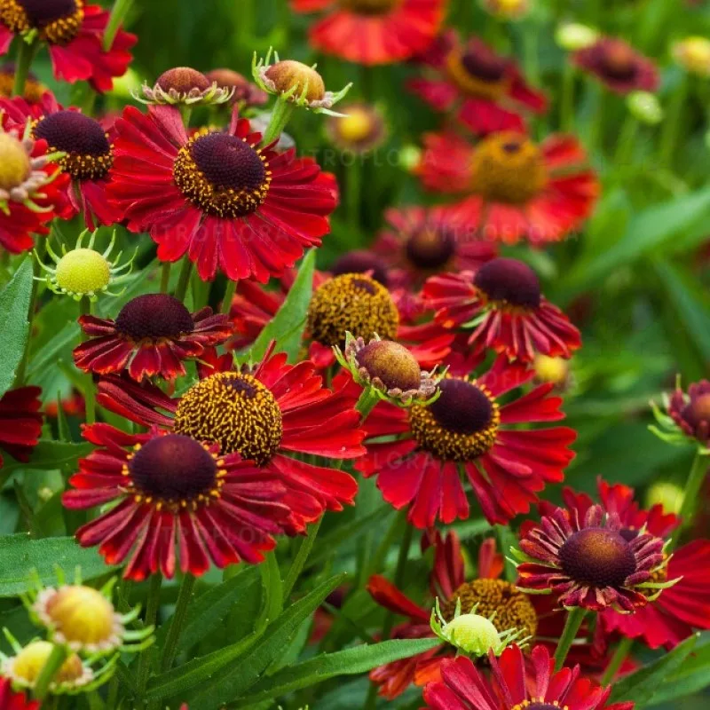Фото 2