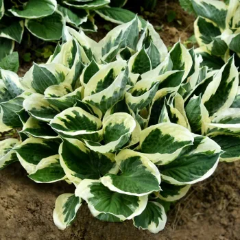 Фото 2