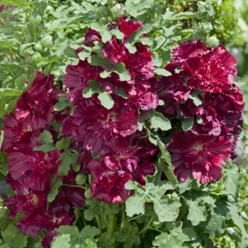 Фото 2