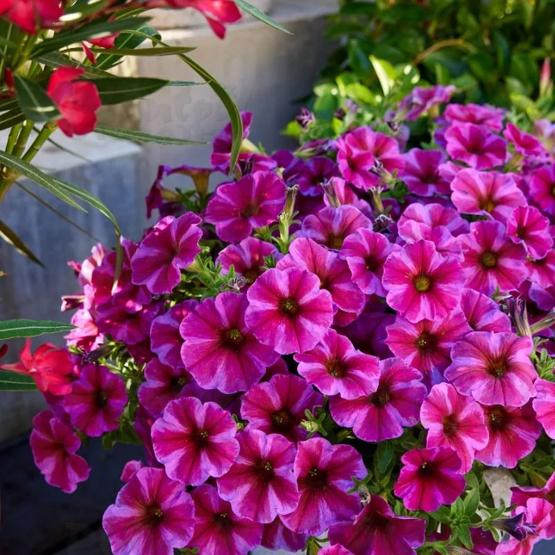Фото 2
