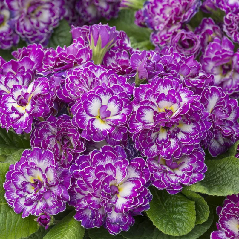 Фото 2