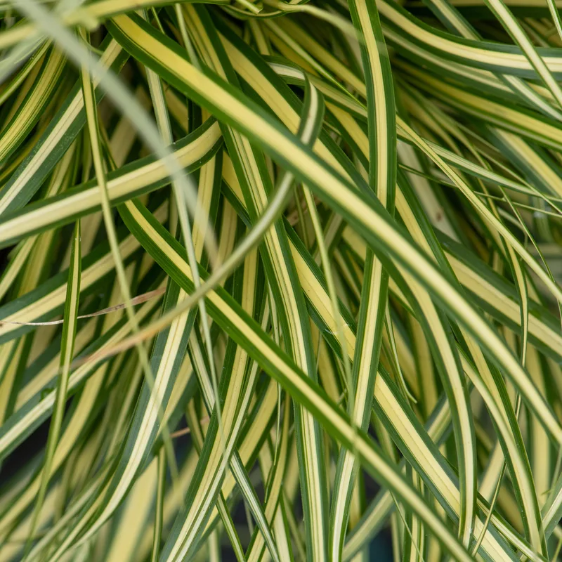 Фото 1
