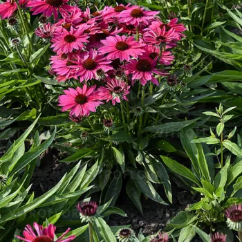 Фото 2