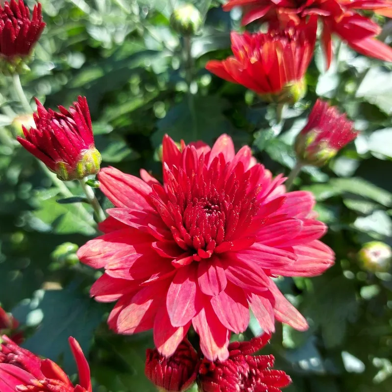 Фото 6